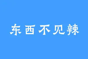 东西不见辣