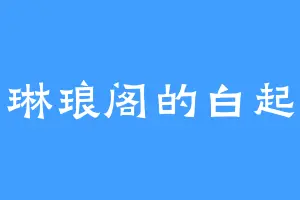 琳琅阁的白起