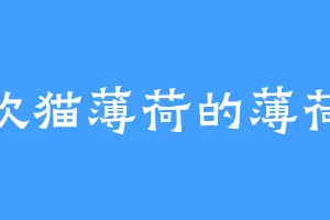 喜欢猫薄荷的薄荷猫
