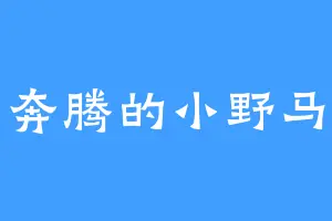 奔腾的小野马