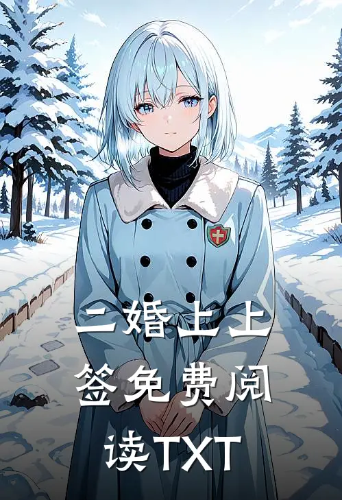 二婚上上签免费阅读TXT