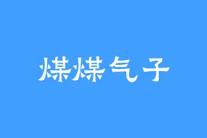 煤煤气子